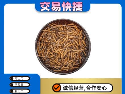 滁州高价回收散虫草